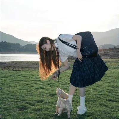 莱辛巴赫瀑布